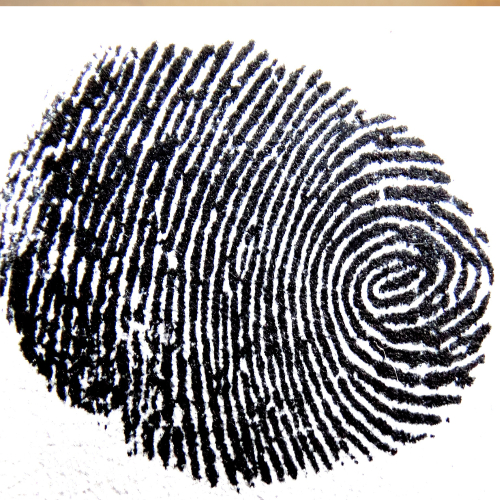 A fingere print.